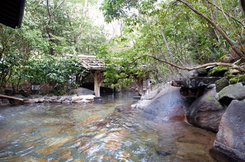 熊本熊熊出没,熊本熊77期