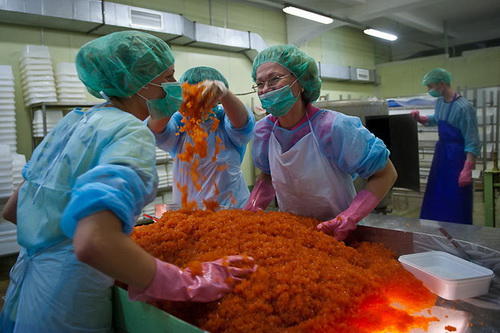 带你探寻顶级鱼子酱的加工流程,顶级鱼子酱加工过程