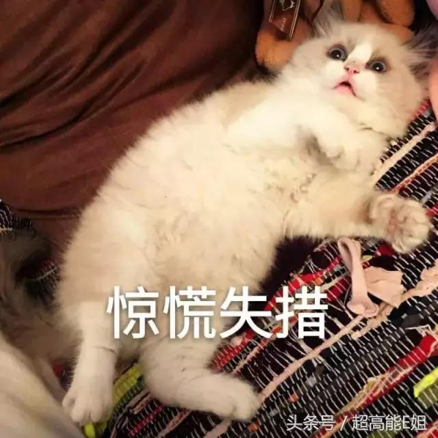 凶宅有诡异现象,凶宅的诡异秘密