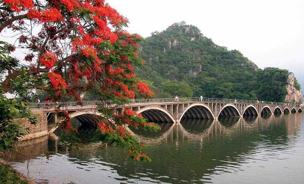 柳忠秧十年酝酿五年力创,广东全省主题词闪耀出场