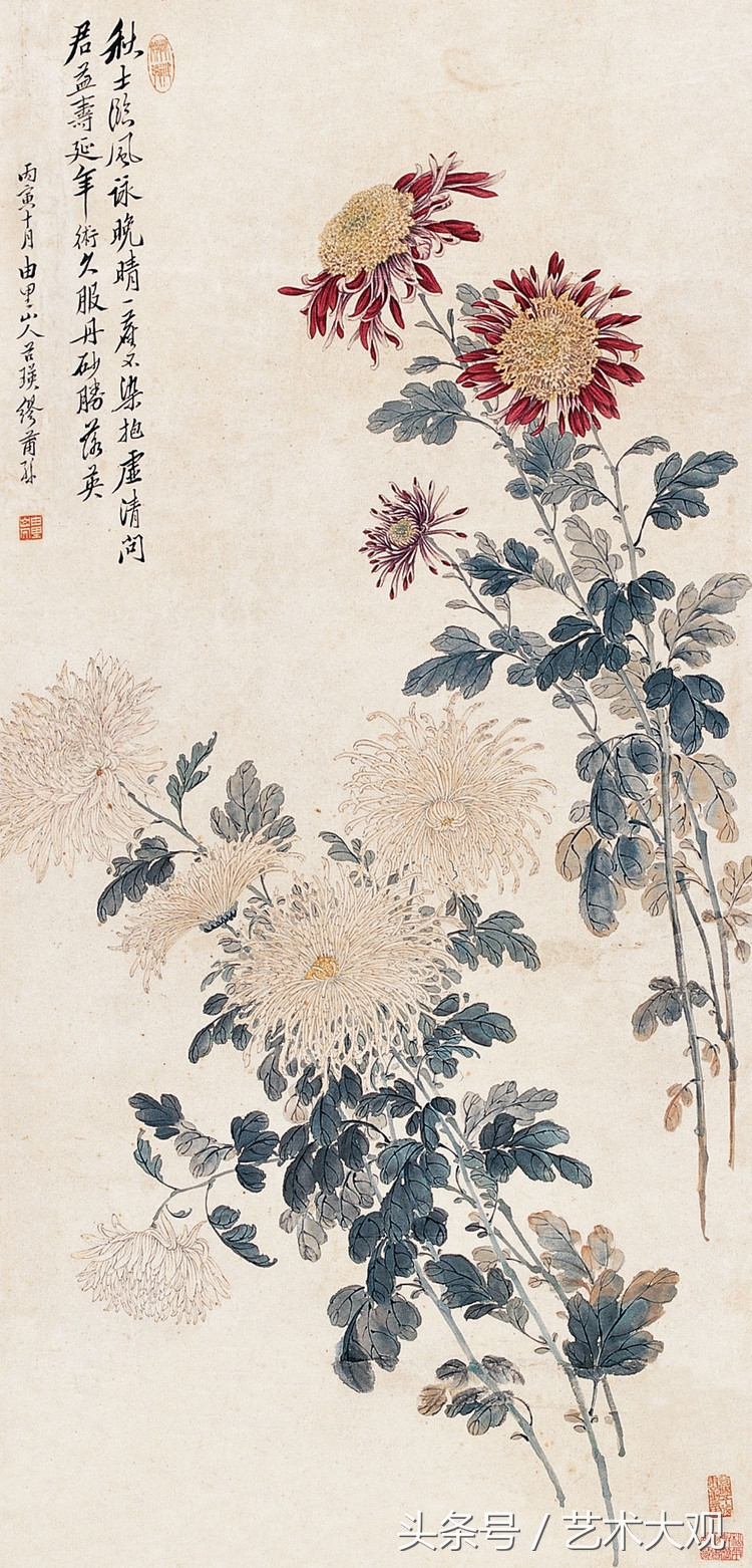 缪谷瑛国画菊花,缪谷瑛菊花画法