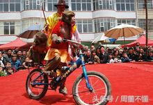 十二生肖的鸡由来与传说,十二生肖由来的儿童故事