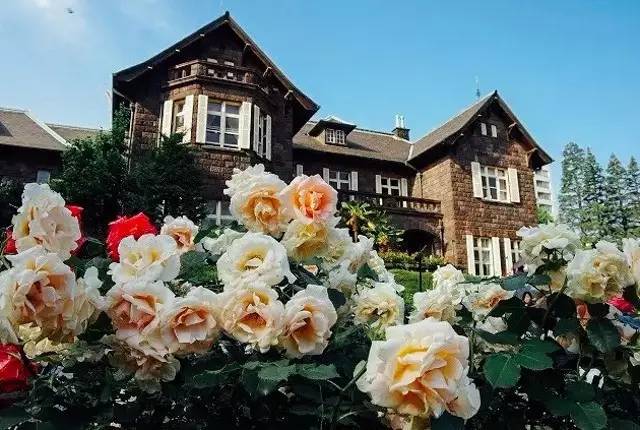 东京值得打卡的咖啡店,东京值得推荐的咖啡厅