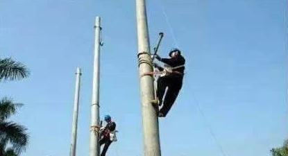 听起来很土但很有毕业前景的专业,四大高大上的专业毕业迷茫