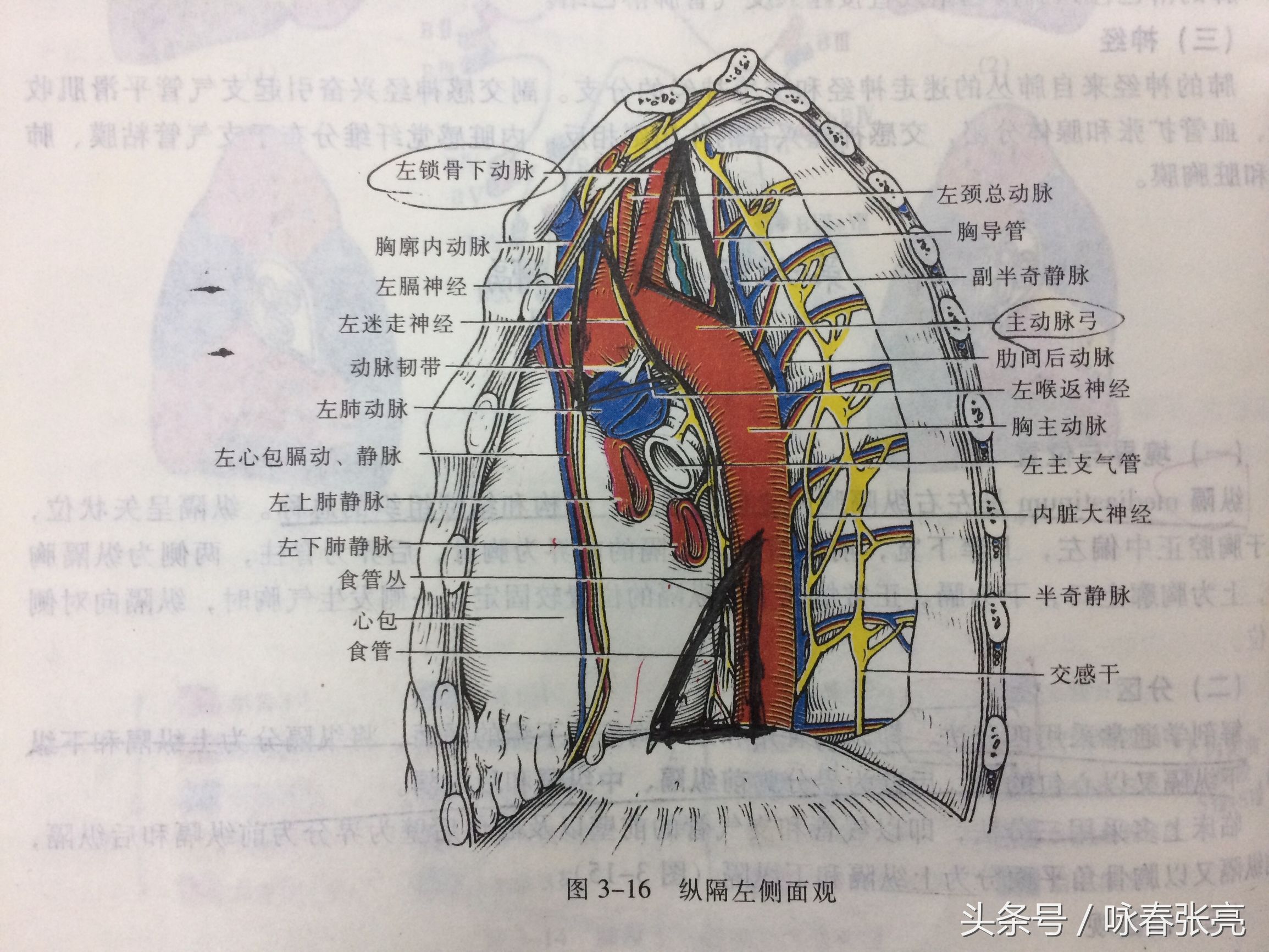 谁说咏春打不过泰拳,谁说传统武术不行你戳我眼睛试试