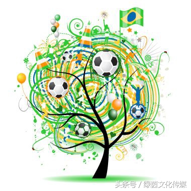 大罗年轻与老去,大罗top10