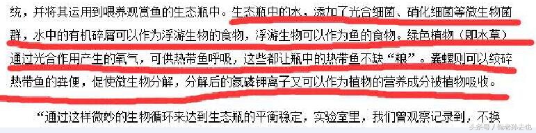 制作生态瓶发现了什么,制作生态瓶你发现了什么