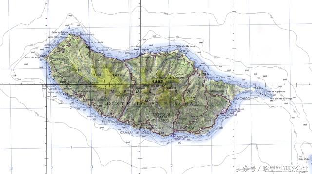 介绍一下尤克里里早期发展史