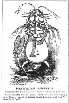 达尔文的进化论最出名的话,为何那么多人怀疑达尔文的进化论