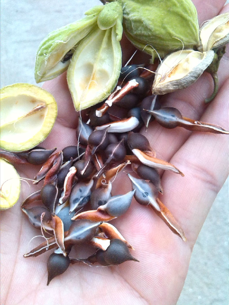 我还要活着的图片,我要为自己好好的活着