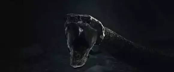 盖里奇最新电影,盖里奇最好看的十部电影