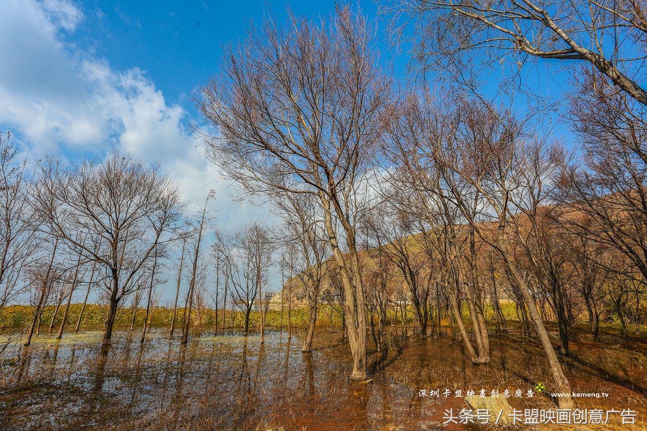 2万5千公里有多远,2万五千公里跨越半个中国