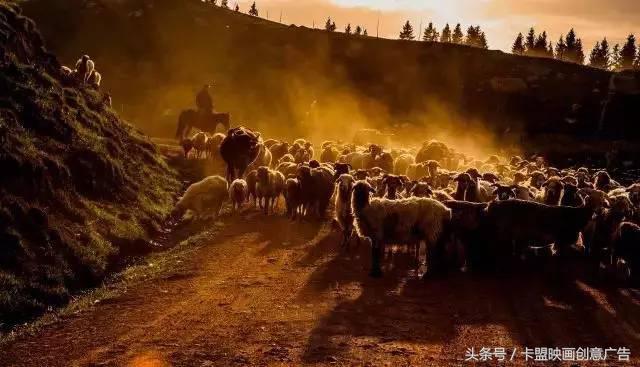 2万5千公里｜跨越半个中国，我们在路上等你