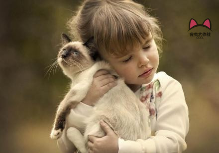 爱宠去世，家里的孩子伤心不已，6种方法让孩子面对宠物死亡