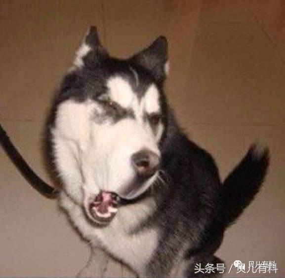 一个沉迷游戏的女人值得追吗,一个沉迷于游戏的女人想的是什么