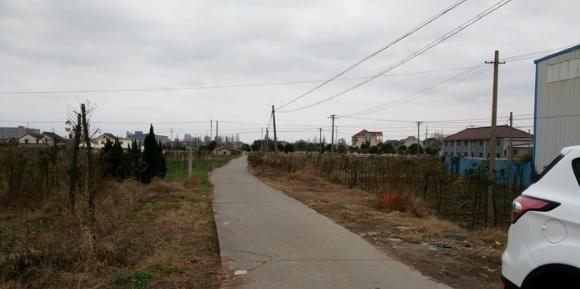 有毛不算秃含义,有毛不算秃怎么回复