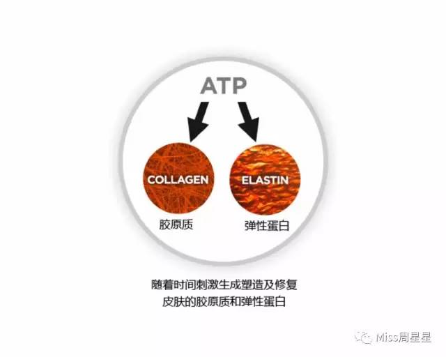 雅萌初普美容仪真的有用吗,不断问refa美容仪有效果吗