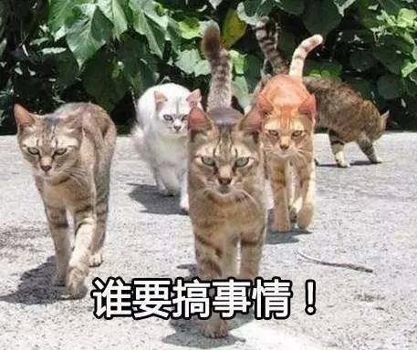 九千岁女神新标准！快看看你是不是“幼幼脸”？