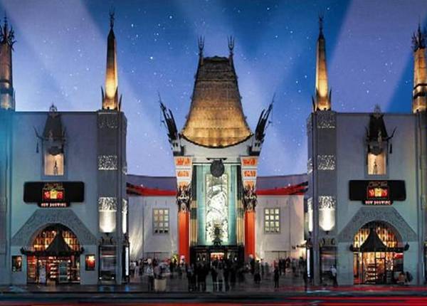 每日花语曼陀罗花,每日花语樱草图片