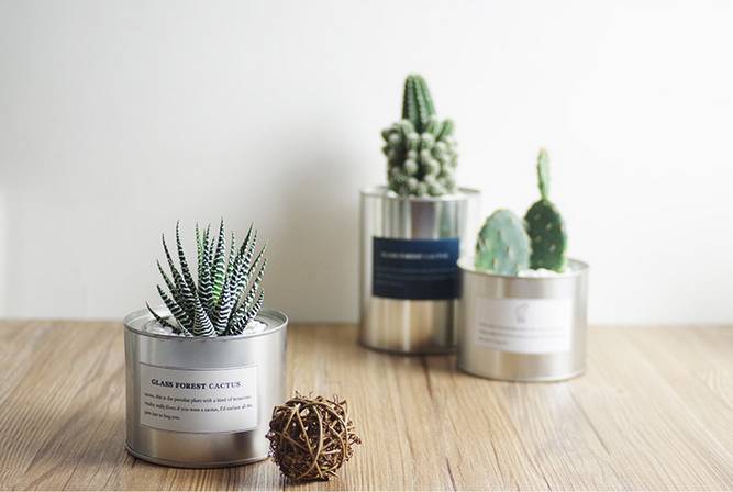 欧亚卖场买不到的家居好物，某宝只要10块钱……