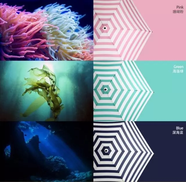 适合的雨伞推荐,雨伞推荐高颜值女大伞