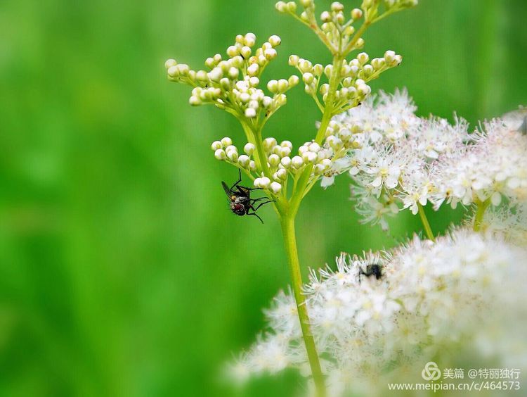 走过四季夏天最美,走过春夏美丽的秋冬