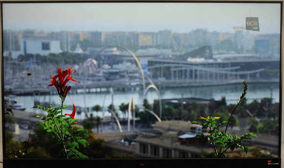 一台电视,一台电视一台投影