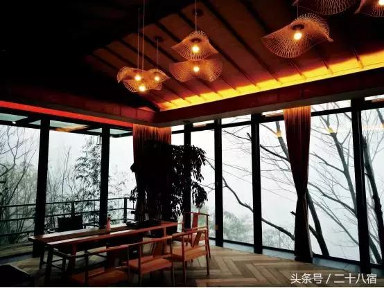 老树林,老树林春夏秋冬