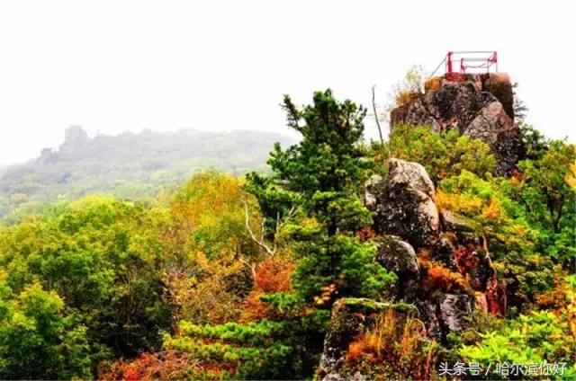 阿城有希望吗,阿城未来的发展