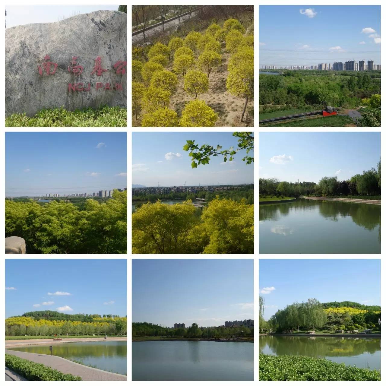 我用30万步,走遍石家庄公园