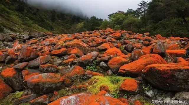 德阳周边游:端午3天我们走“喇叭河”怎么样?最强攻略来袭