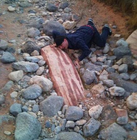 被蜜蜂蛰是什么感觉,被蜜蜂蛰了一下发现是触电的感觉