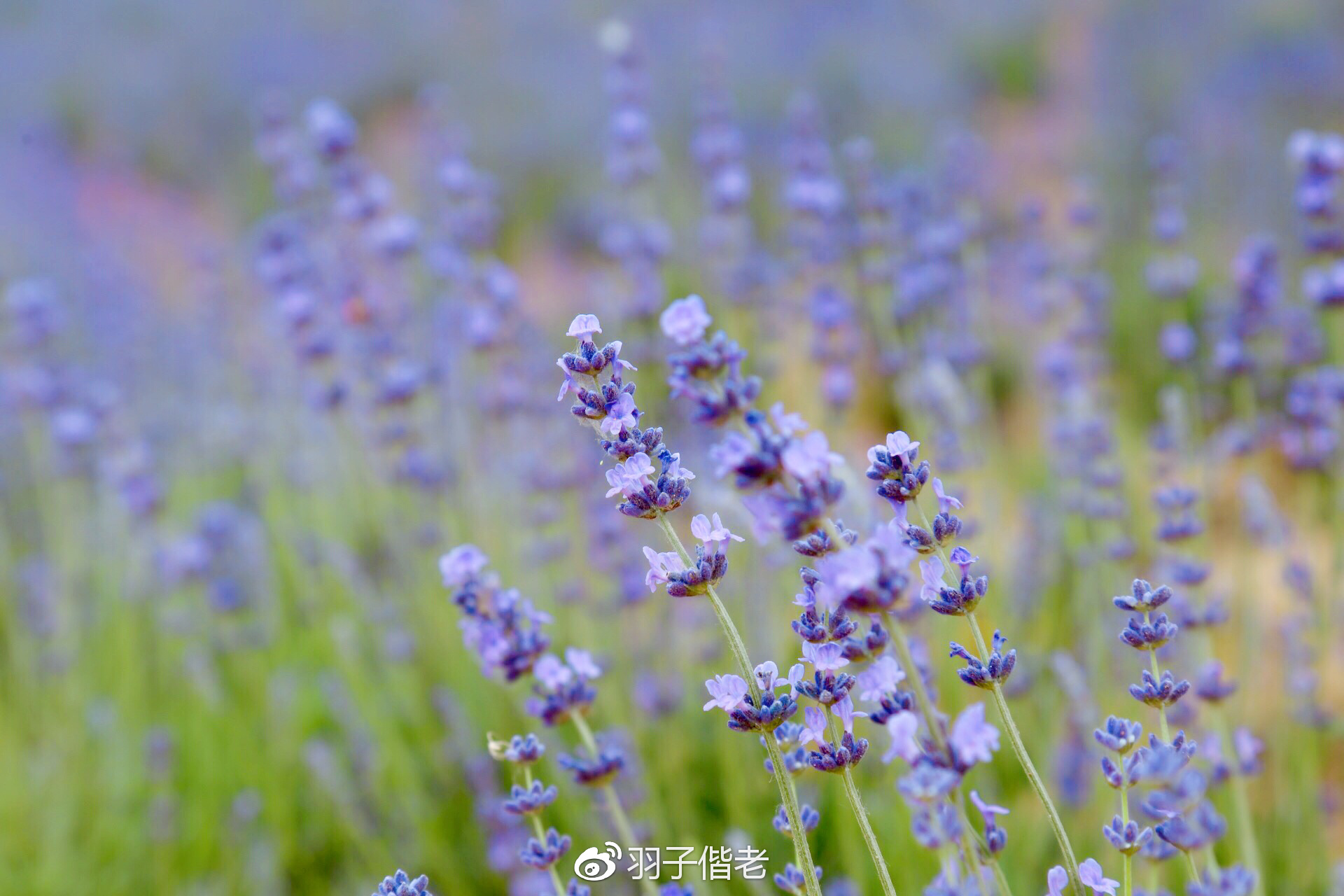 溧阳日日春农庄一日游,溧阳日日春农庄