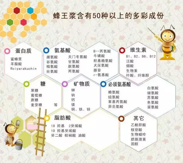 日本养生滋补之蜂产品 (养生保健蜂产品)