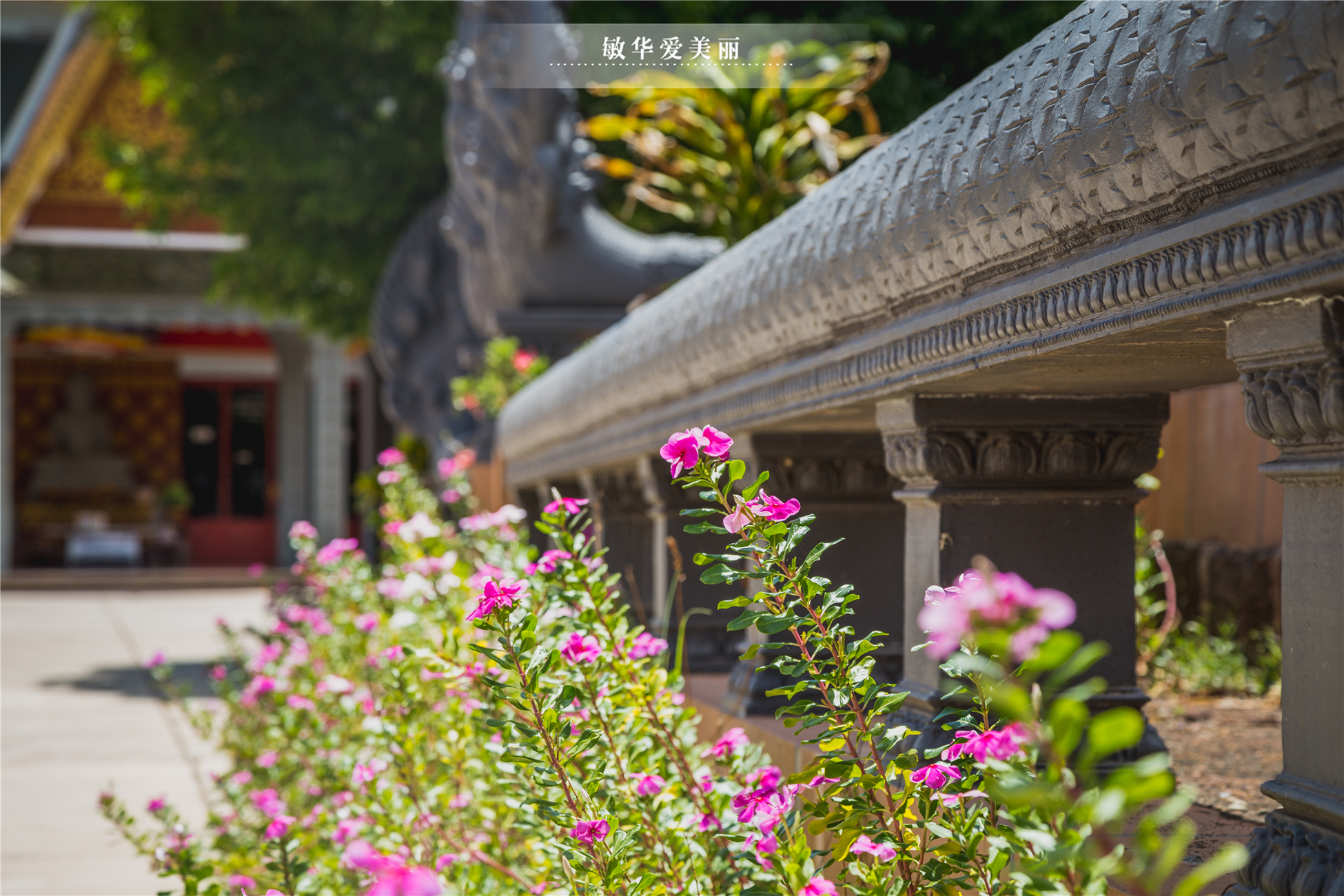 柬埔寨最厉害的寺庙叫什么,柬埔寨最灵的寺庙