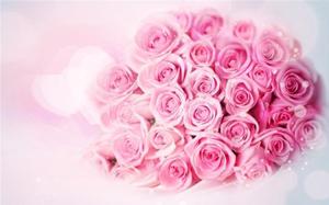 策划一场求婚需要准备什么,求婚策划有哪些