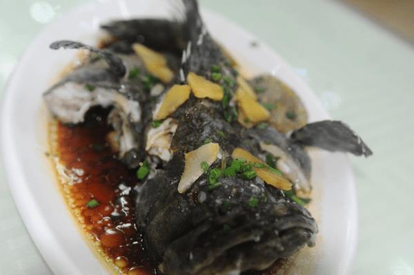 三亚蜜月旅行攻略大全视频,蜜月之旅三亚