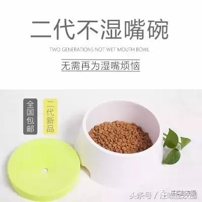 狗狗用饮水器总是湿嘴,狗狗用水嘴喝水会怎么样