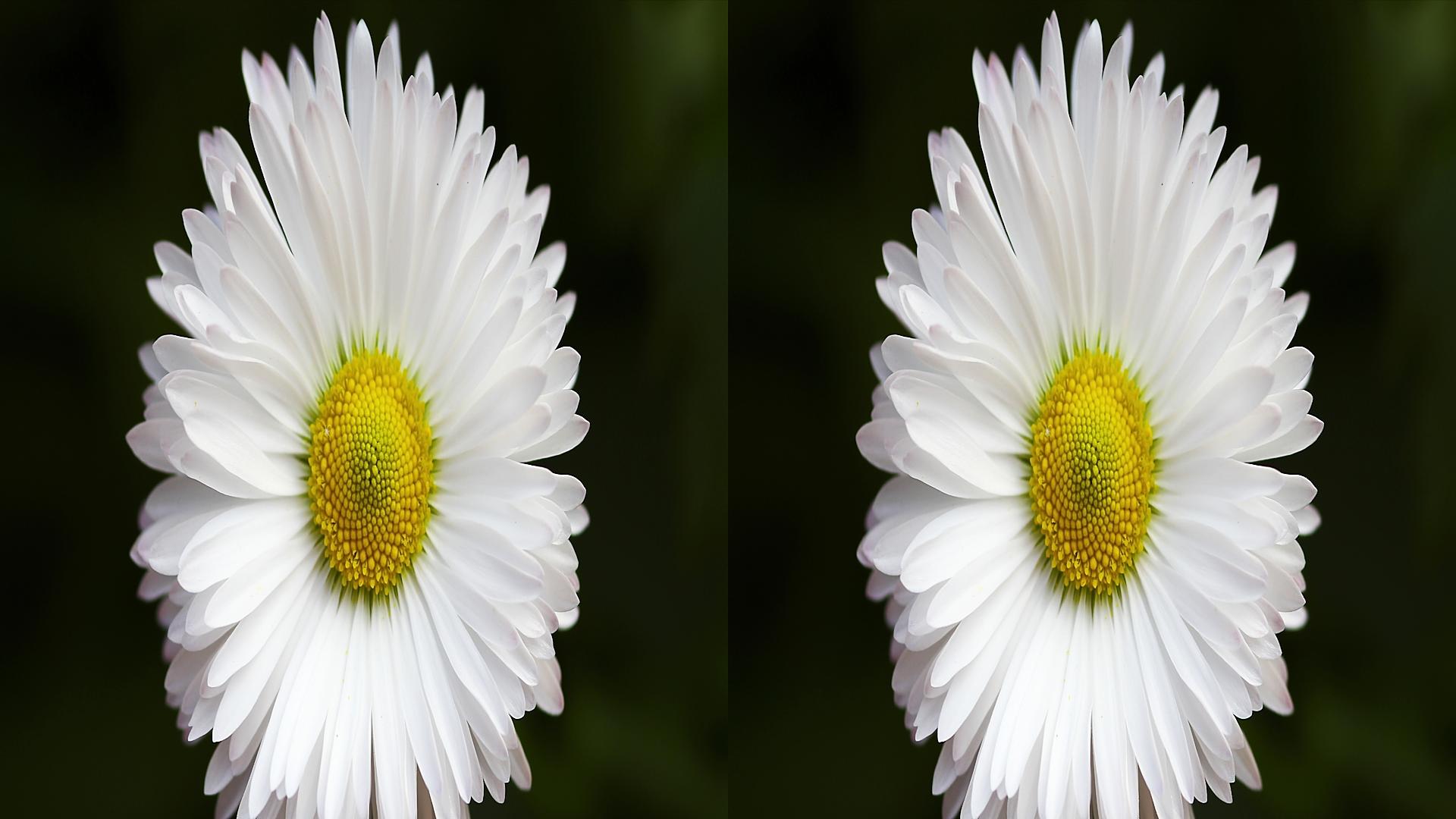 裸眼3d手机可播放高清视频,手机可以看3d电影吗用3d眼镜