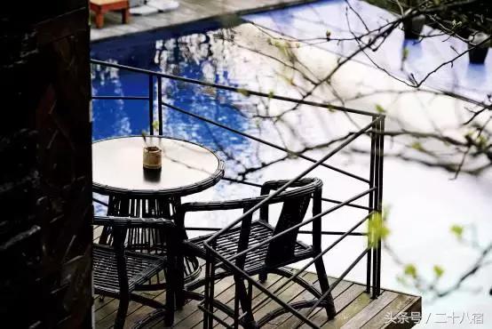 老树林,老树林春夏秋冬