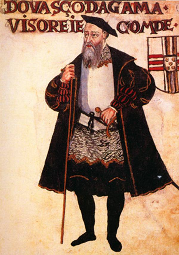 每日花语曼陀罗花,每日花语樱草图片