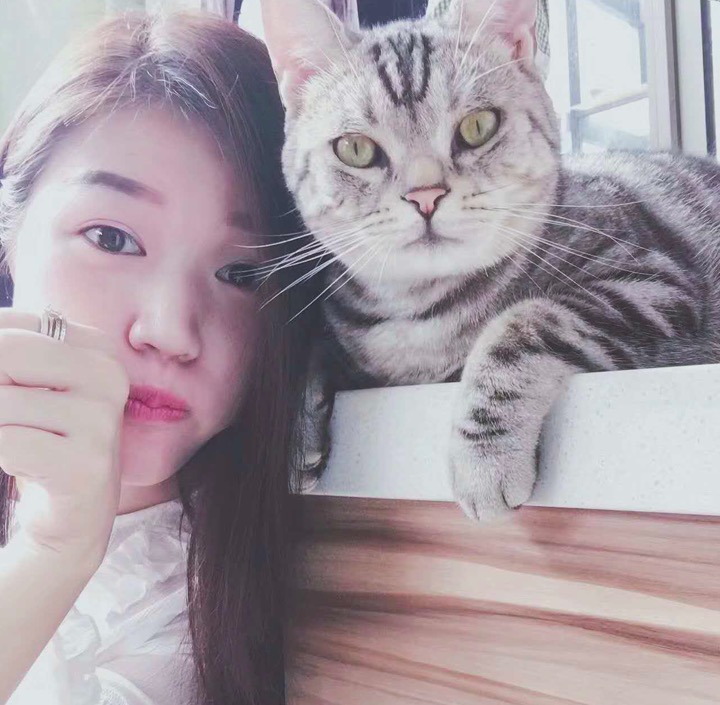 手机拍照赚钱方法大全,怎么利用手机赚钱