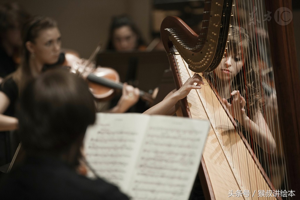 下面，请反方同学发言！——《世界的另一面》