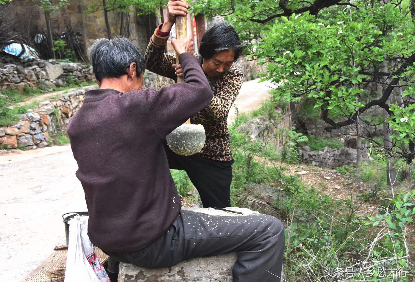 记在心底的玉黍米面条汤