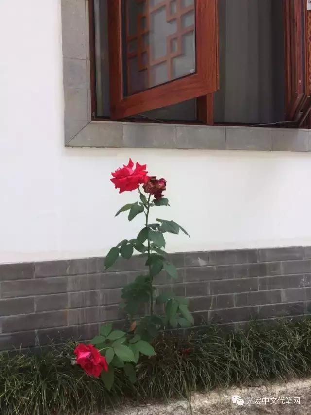 安徽铜陵永泉农庄在哪里,永泉生态农庄