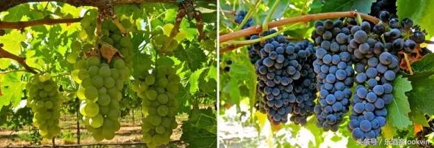 jamesholiday,jamesholiday鎺ㄨ崘