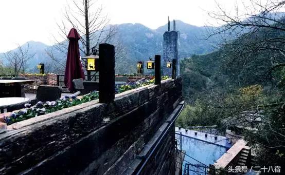 老树林,老树林春夏秋冬