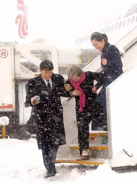 当“鲁雁”遇到“金凤”