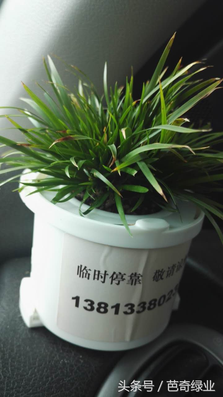 车载祝福饰品,鸾凤玉花语