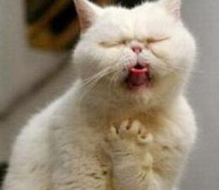 懒癌患者是什么症状,懒癌症状表现